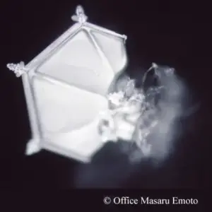 Masaru Emoto - Parole e cristalli d'acqua - Non posso farlo