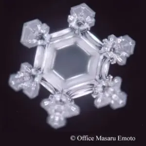 Masaru Emoto - Parole e cristalli d'acqua - Riesco a farlo